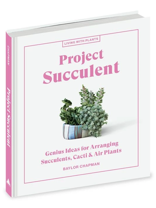 Workman Publishing Project Succulent 3 Workman Publishing Project Succulent